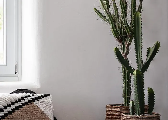 El Sueno Mykonos Καλαφάτη